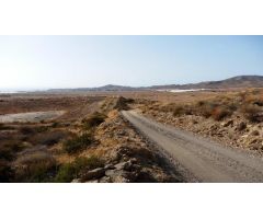 Parcela en Calle UD-ALQUERIAS, Murcia