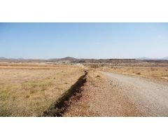 Parcela en Calle UD-ALQUERIAS, Murcia