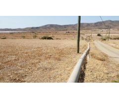 Parcela en Calle UD-ALQUERIAS, Murcia