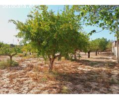¡Oportunidad Única! Encantador Chalet con Amplia Parcela en Alicante.