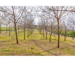 Finca rústica en venta con casa, nave y piscina
