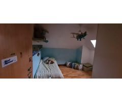 CASA CON PISCINA EN VENTA