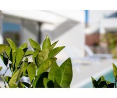 VILLAS  DE ENSUEÑO CON PISCINA Y JARDIN PRIVADO EN LOS MONTESINOS