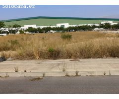 SUELO INDUSTRIAL EN DOLORES DE ALICANTE