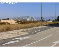 SUELO INDUSTRIAL EN DOLORES DE ALICANTE