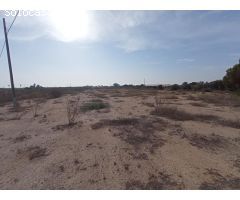 OFH-272 Pasico Project