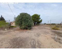 OFH-272 Pasico Project