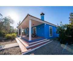 OFH-274 VALLE DEL SOL BLUE