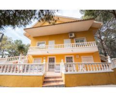 PARCELA DE 8.000 m2+CHALET