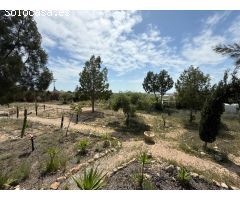 Casa con terreno en Venta en Castrillo de Murcia, Murcia