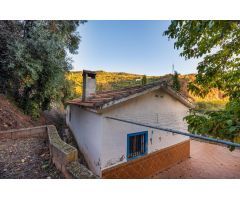 casita legalizada, con toma de electricidad, agua potable, agua de riego, y terreno de  olivos