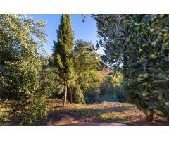 casita legalizada, con toma de electricidad, agua potable, agua de riego, y terreno de  olivos