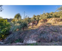 casita legalizada, con toma de electricidad, agua potable, agua de riego, y terreno de  olivos