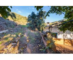 casita legalizada, con toma de electricidad, agua potable, agua de riego, y terreno de  olivos