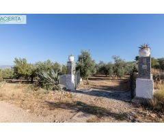 Casa rural con 300 olivos de riego y almendras