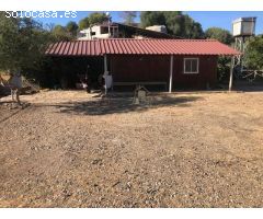 ZONA LA CIGARRA - cuevas bajas -Parcela de 3.400 m2 con casita de madera.