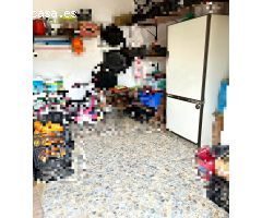 Almodóvar. Parcela de terreno de unos 1400 m con casita y piscina