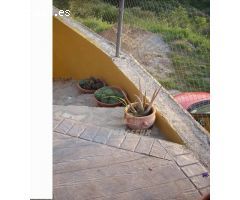 PARCELA CON CASA DE MADERA- Parcela de terreno de 3000 m2 y casa madera maciza amueblada de 135 m2