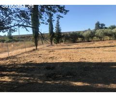 Parcela de terreno de 2700 m2 por la Barquera con fosa séptica y vallada