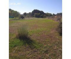 Parcela de terreno de 1.500 m2 por la urbanizacion Charco roto.