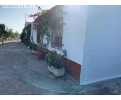 ZONA CORTIJO DEL RUBIO - Parcela de 6.000 m, casa de 200 m2 y nave de 500 m2