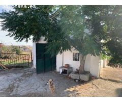 ZONA CORTIJO DEL RUBIO - Parcela de 6.000 m, casa de 200 m2 y nave de 500 m2