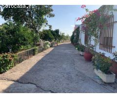 ZONA CORTIJO DEL RUBIO - Parcela de 6.000 m, casa de 200 m2 y nave de 500 m2