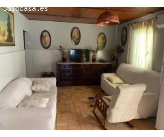 ZONA CORTIJO DEL RUBIO - Parcela de 6.000 m, casa de 200 m2 y nave de 500 m2