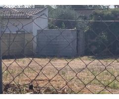 ZONA MAJANEQUE- Parcela de terreno de 1.000 m2 con pozo y punto de luz.