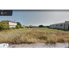 ZONA LLANOS DEL CASTILLO- Parcela de terreno de 2.600 m2 con luz.