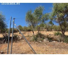 ZONA CHARCO ROTO - Parcela de terreno de 1500 m2 con punto de luz y agua comunitaria