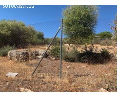 ZONA CHARCO ROTO - Parcela de terreno de 1500 m2 con punto de luz y agua comunitaria