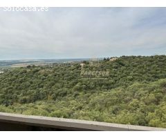 ZONA CUEVAS BAJAS- Parcela de terreno de 6.400 m2 con casa de 130 m2, piscina, nave y otro edificio.
