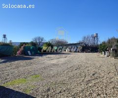 CARRETERA AEROPUERTO - Parcela de 750 m con barbacoa de obra, pozo, luz por grupo electrogeno.