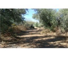 SUELOS EN VENTA EN PINOS GENIL