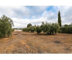 Parcela Urbana consolidada con 2.558 m2, en la Urbanización Los Cortijos.
