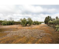 Parcela Urbana consolidada con 2.558 m2, en la Urbanización Los Cortijos.