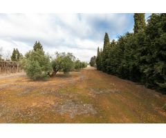 Parcela Urbana consolidada con 2.558 m2, en la Urbanización Los Cortijos.
