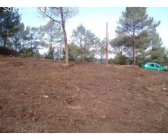 Terreno urbano en Pinedes Altes (la Juncosa de Montmell)