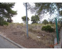Terreno en la zona de la Bisbal del Penedés