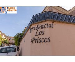 OPORTUNIDAD EN LA ZUBIA.-GRANADA