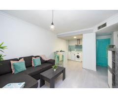 APARTAMENTO 1 DORMITORIO EN PLENO CENTRO DE GRANADA