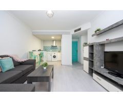 APARTAMENTO 1 DORMITORIO EN PLENO CENTRO DE GRANADA