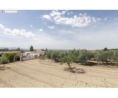 !!! OASIS A 5 MINUTOS DE GRANADA ¡¡¡
