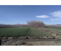 TENEMOS LA FINCA QUE BUSCAS.