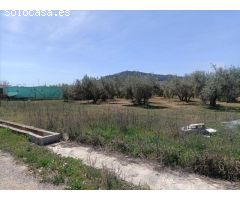 Finca rústica en venta