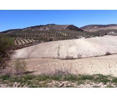 PARCELA RUSTICA EN MOCLIN