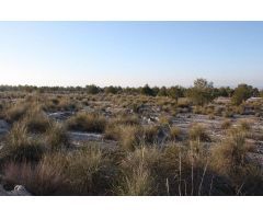 3 FINCAS RUSTICAS A LA VENTA EN PUEBLA DE DON FABRIQUE (GRANADA)