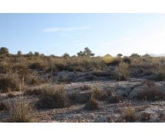 3 FINCAS RUSTICAS A LA VENTA EN PUEBLA DE DON FABRIQUE (GRANADA)