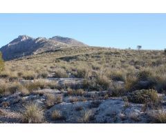 3 FINCAS RUSTICAS A LA VENTA EN PUEBLA DE DON FABRIQUE (GRANADA)